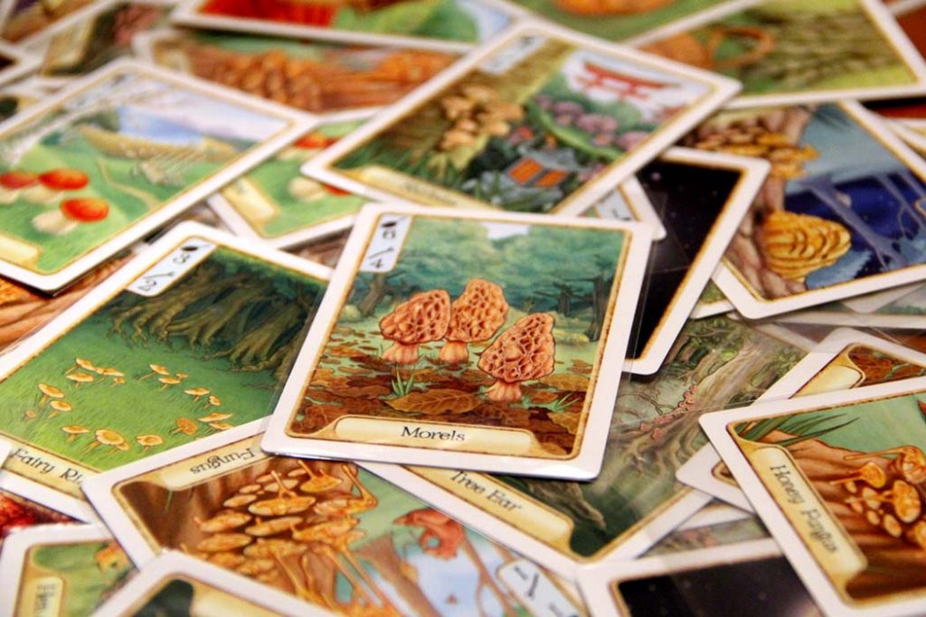 Morels Board Game